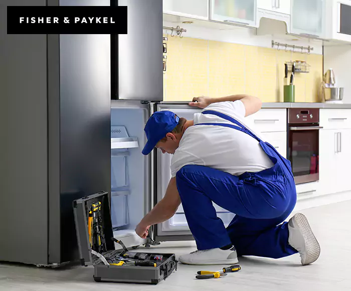 Top-Rated Fisher & Paykel Appliance Experts: Your Brand Specialist in West Haven, CT